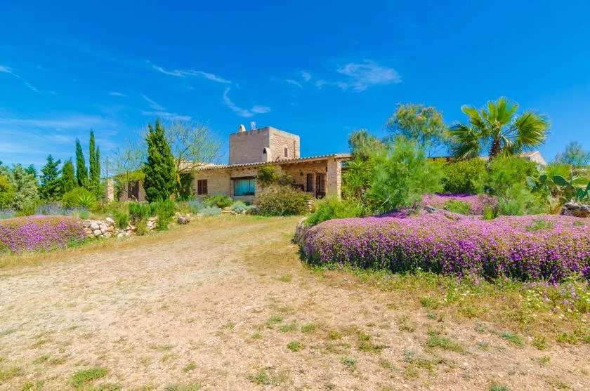 Villa es molí des trenc