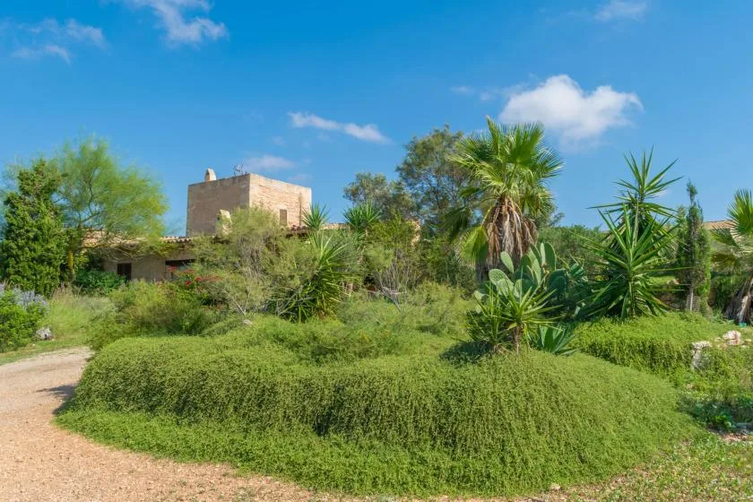 Villa es molí des trenc