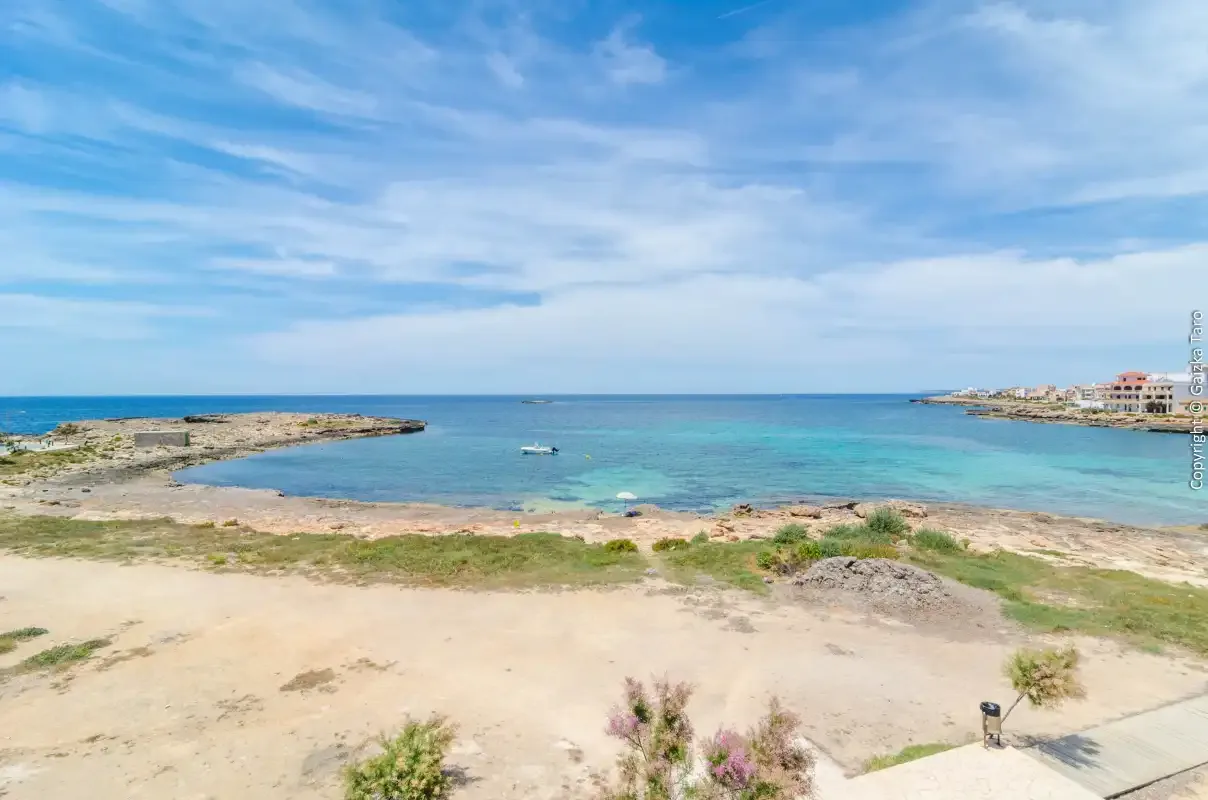 Holiday rentals in Villa es molí des trenc, Campos
