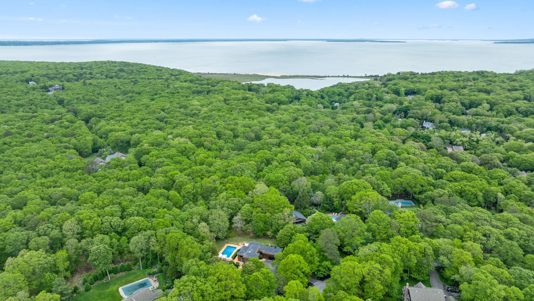 Vista aérea de un bosque verde y denso con algunas casas y una piscina.