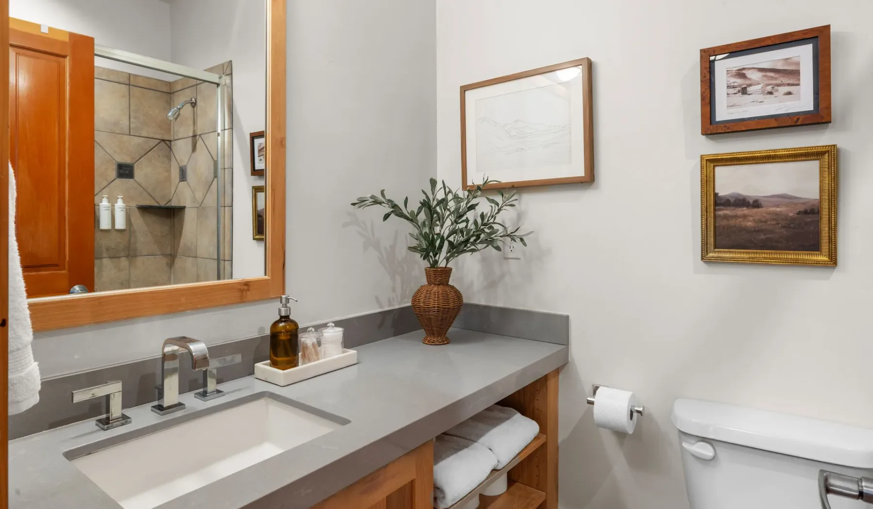 Un tocador de baño con lavabo, cuadros enmarcados y una planta en maceta.