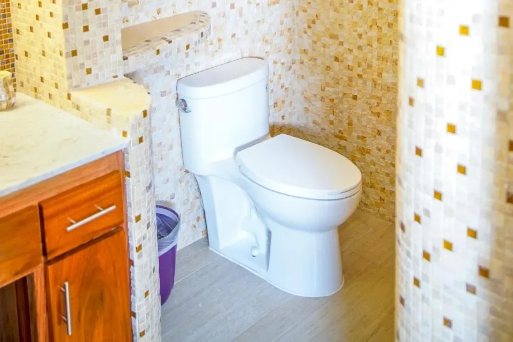 Baño de la suite con inodoro y paredes revestidas de azulejos.
