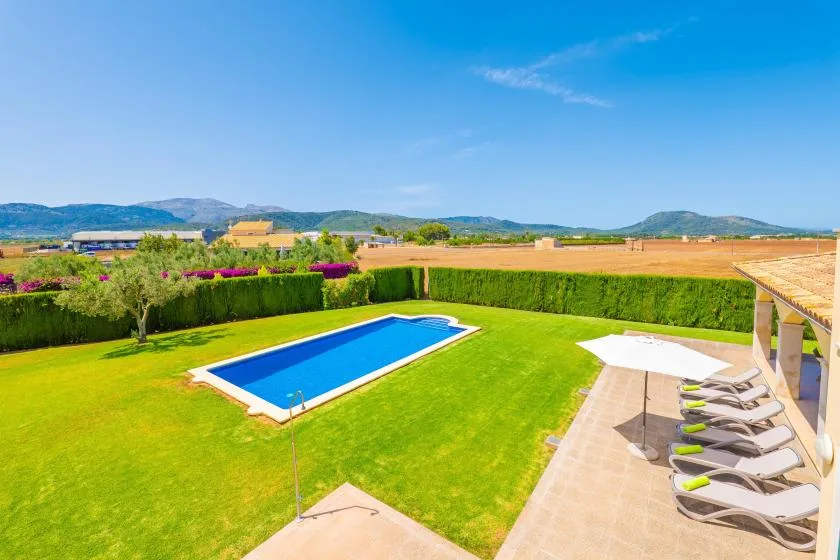 A sunny outdoor pool and lawn sit beside a patio with lounge seating.