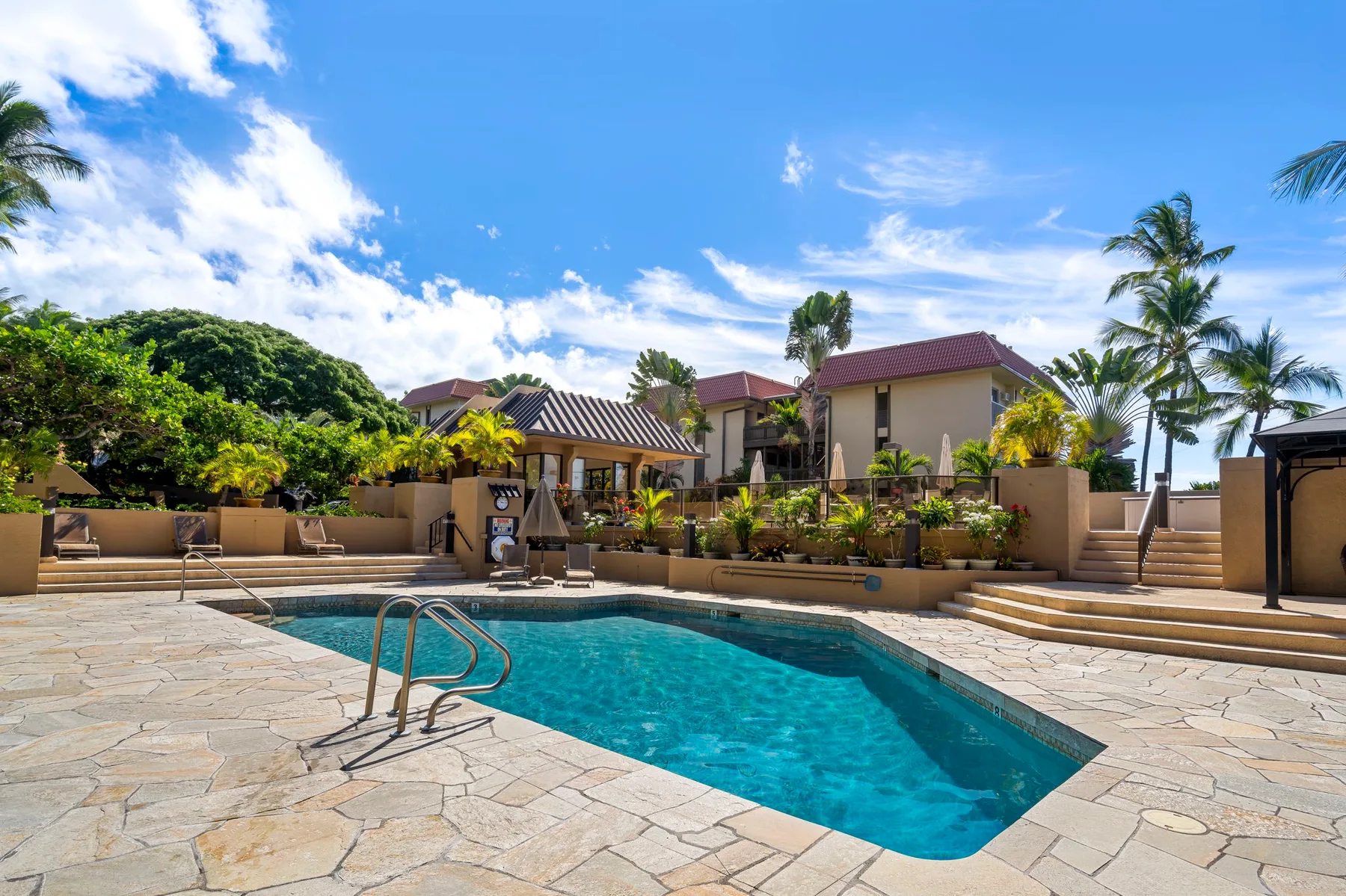 Una piscina al aire libre está junto a un patio pavimentado y vegetación tropical.