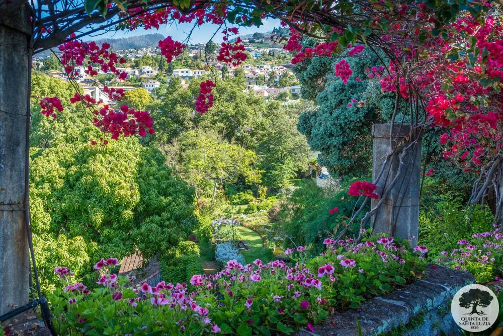 Jardín
