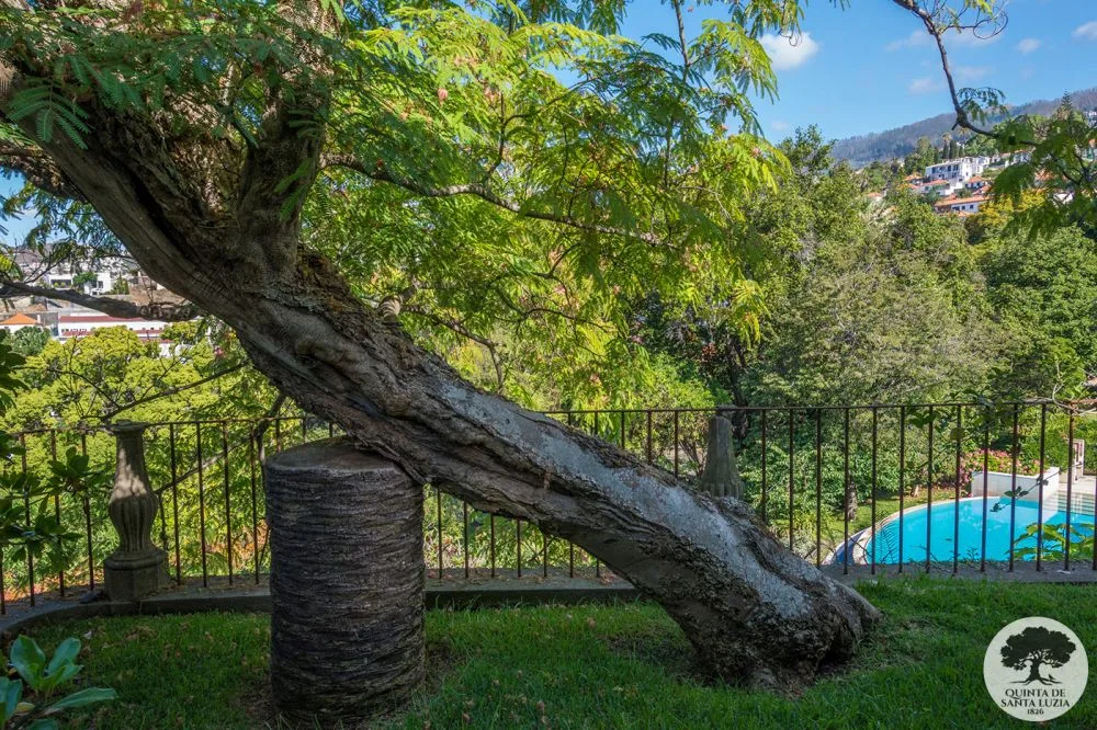 Jardín y piscina