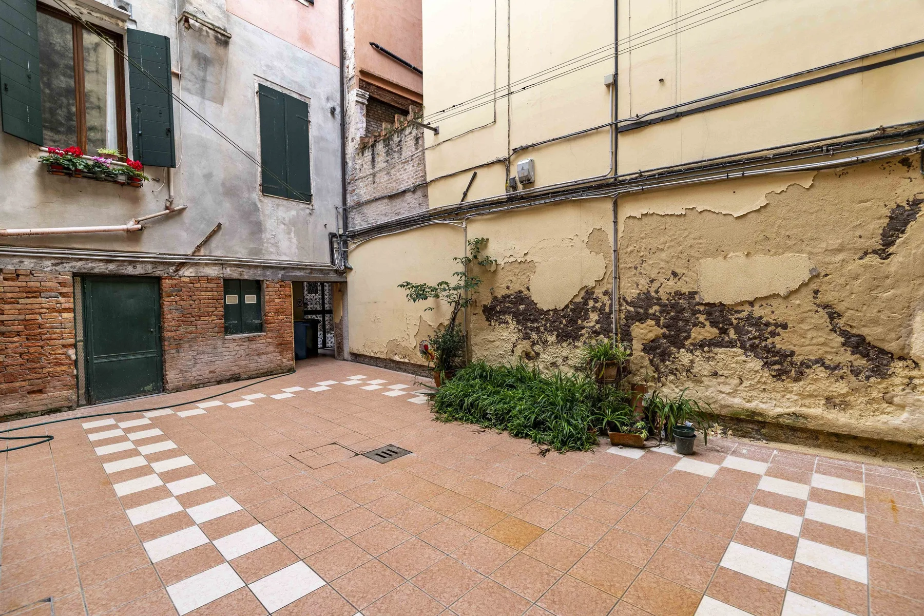 Un patio pavimentado con baldosas estampadas y plantas junto a una pared desgastada.