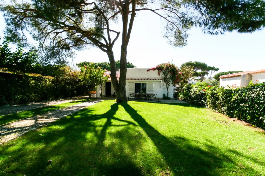 Un césped de jardín con un árbol grande y una casa al fondo.