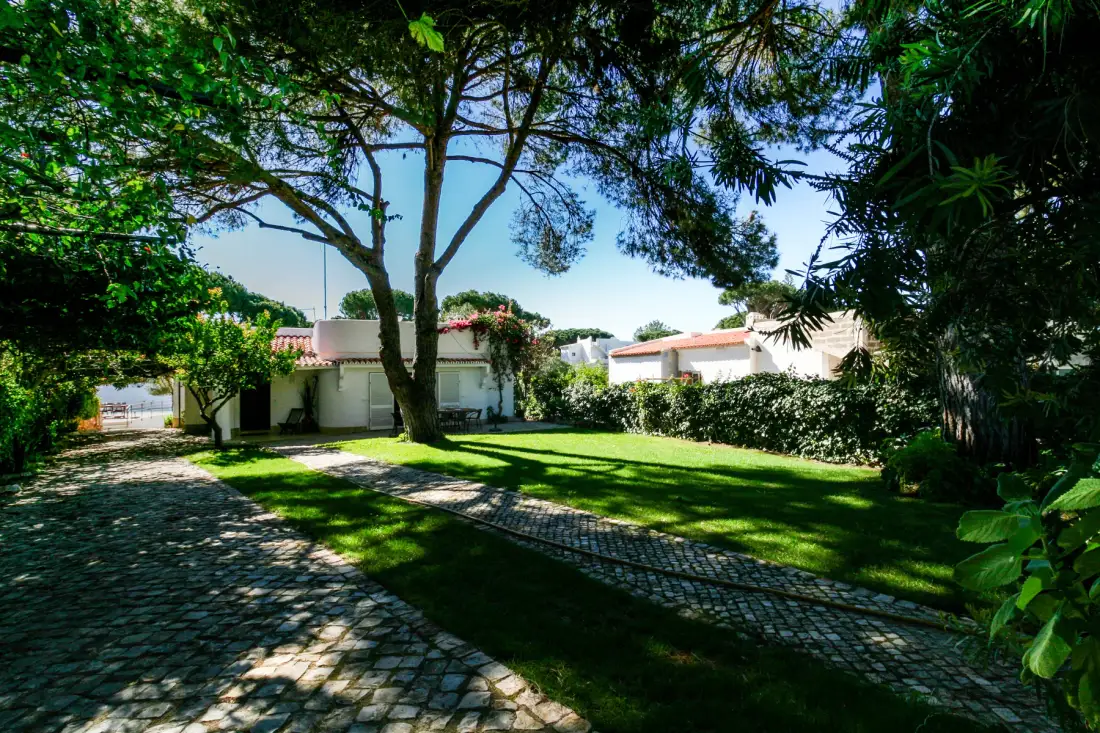 Un patio ajardinado con un camino pavimentado, césped y árboles alrededor.