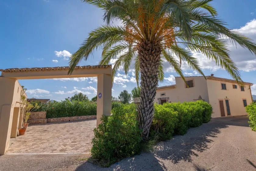 A paved entrance beside a light-colored building, with a palm tree and green shrubs.