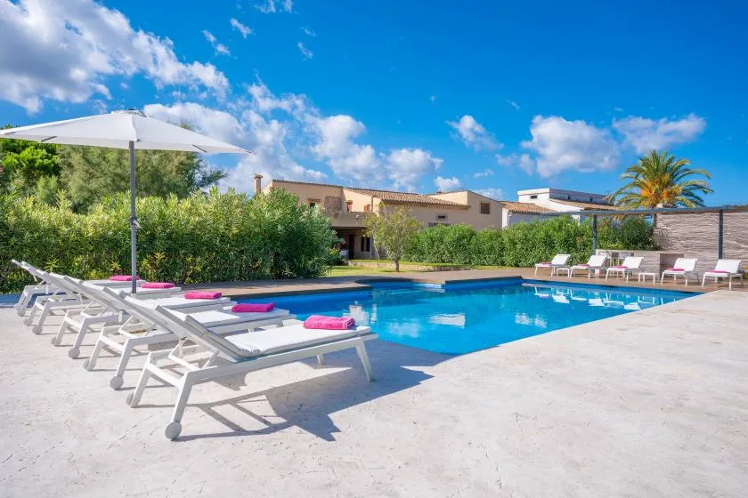 An outdoor swimming pool is surrounded by sun loungers and greenery.
