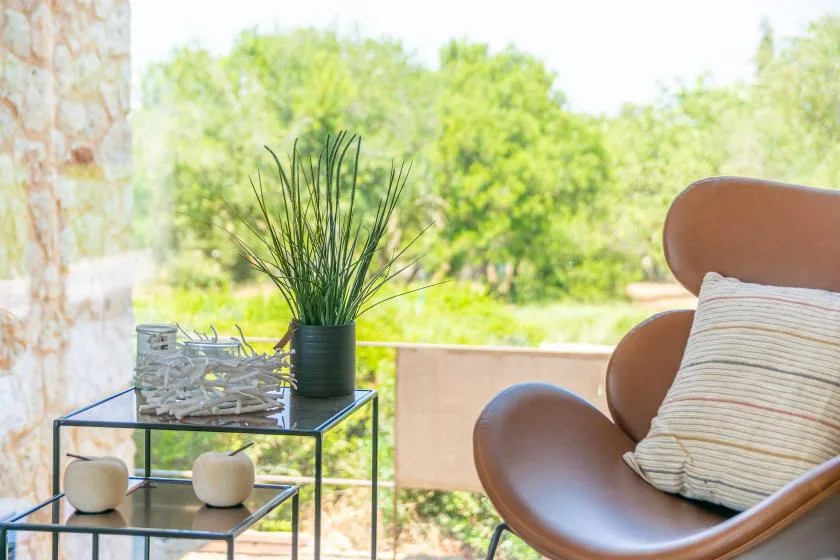A seating area beside a glass table with a potted plant overlooks greenery.