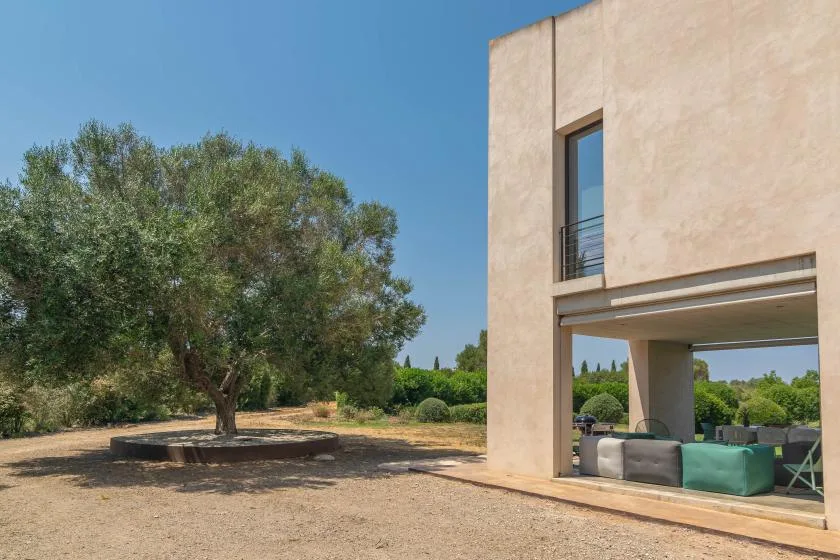 A modern building opens onto a gravel courtyard with a large tree.