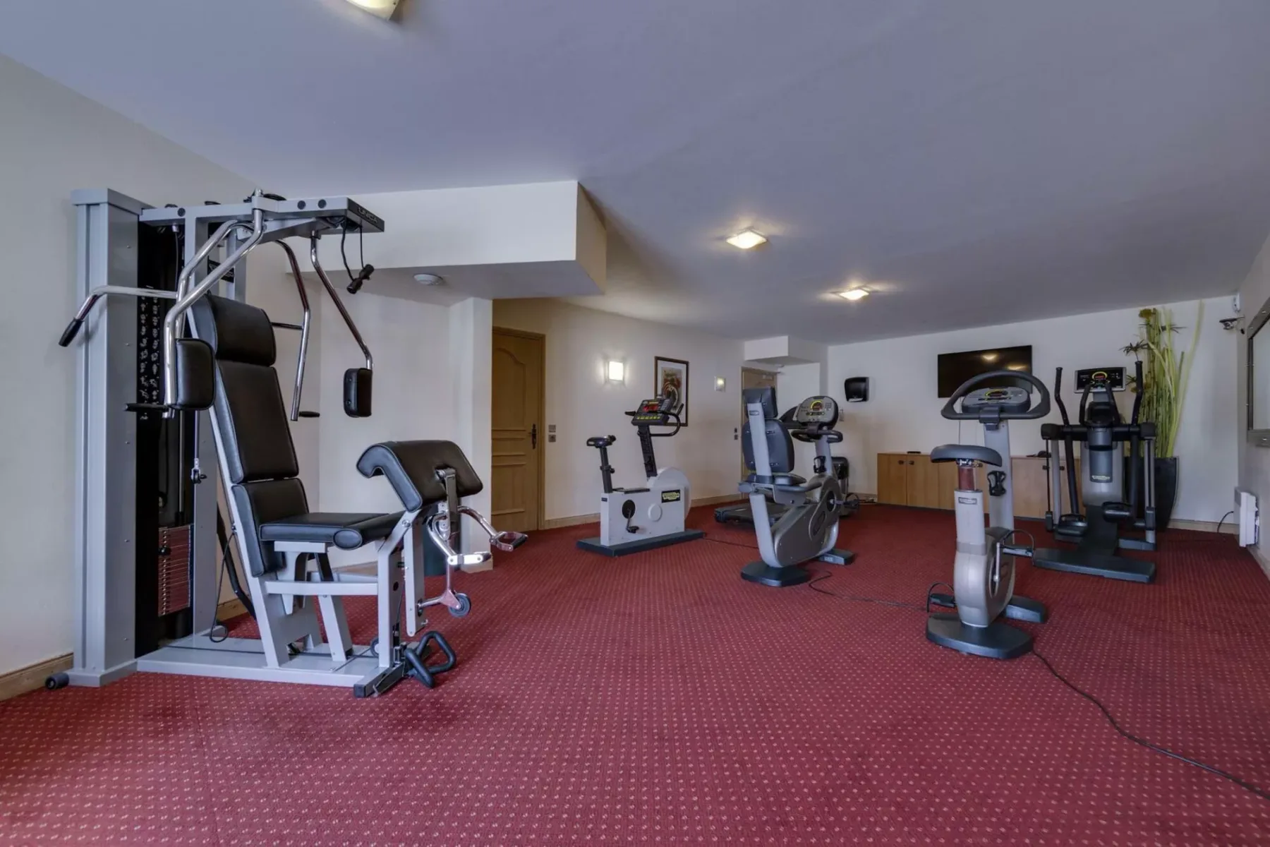 Sala de ejercicio con máquinas de entrenamiento y alfombra roja.