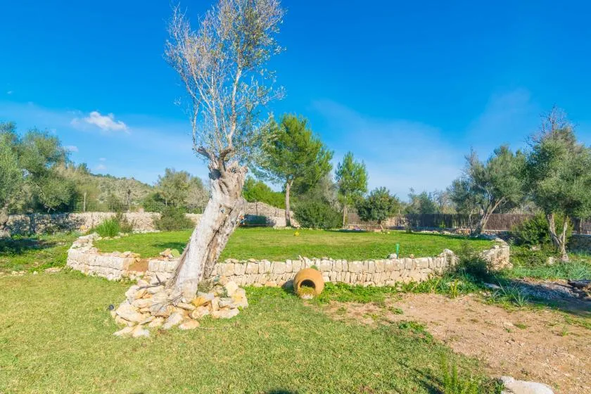 A grassy garden with a stone wall and scattered trees under a clear sky.