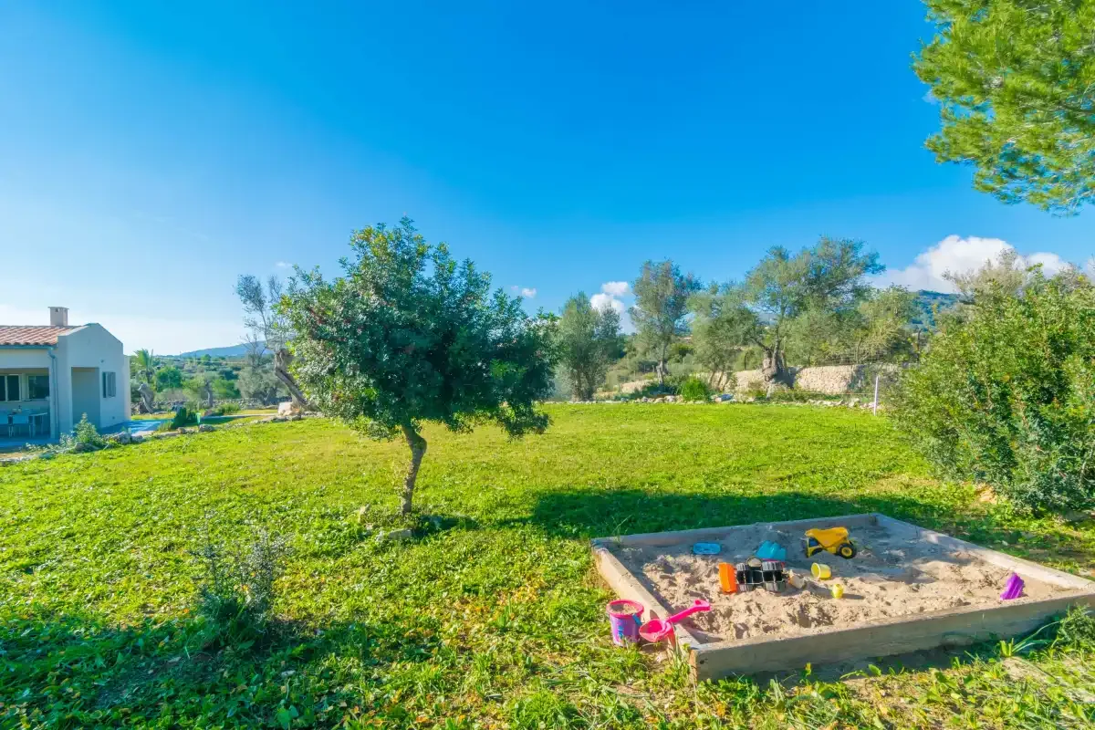 A grassy outdoor yard with a small tree and a sandbox beneath a blue sky.