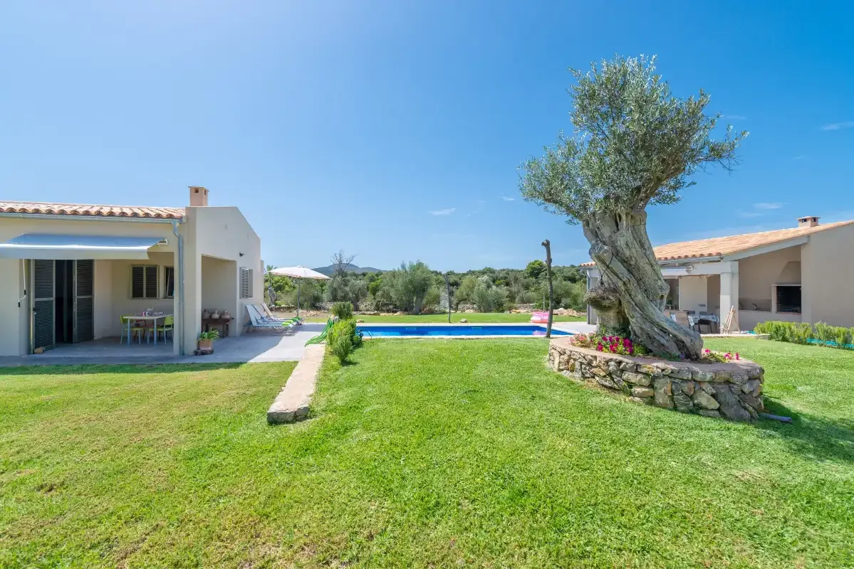 A landscaped courtyard with a swimming pool, lawn, and a large tree.