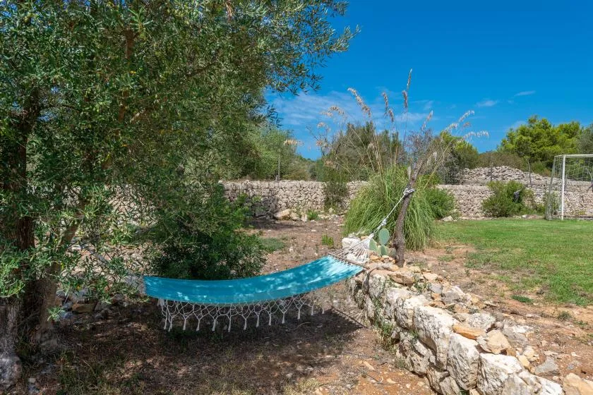 A hammock hangs beneath a tree beside a low stone wall in a sunny garden.