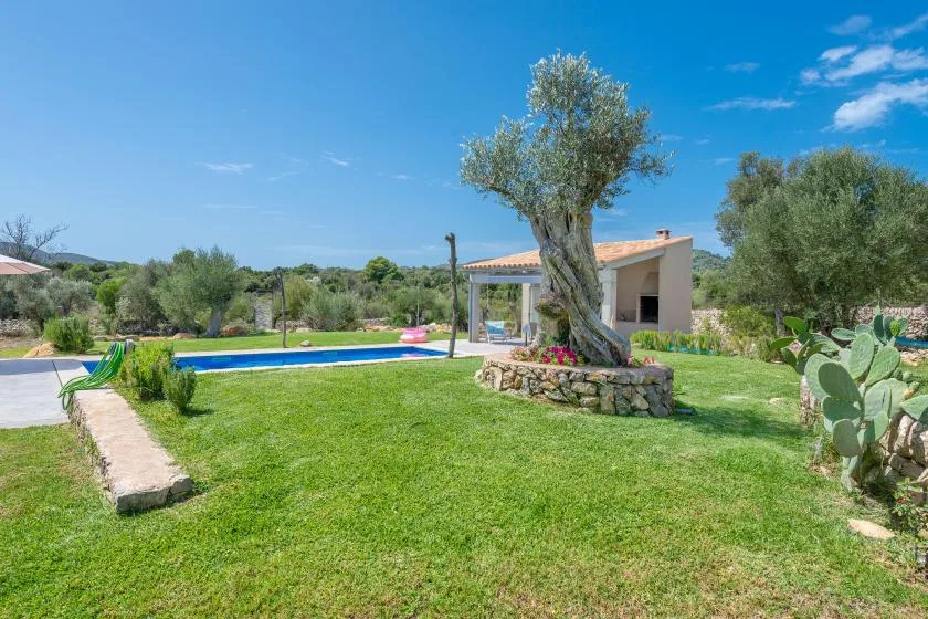 A grassy garden surrounds a swimming pool, with a small house and a tree nearby.