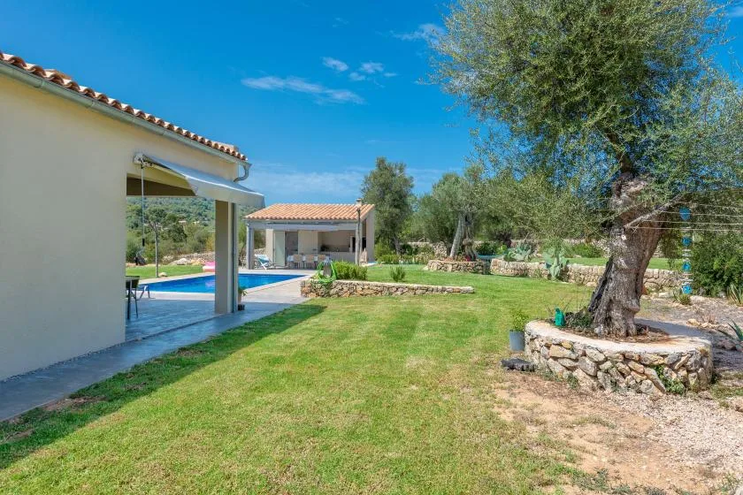 A sunny garden with a swimming pool beside a house and a large tree.