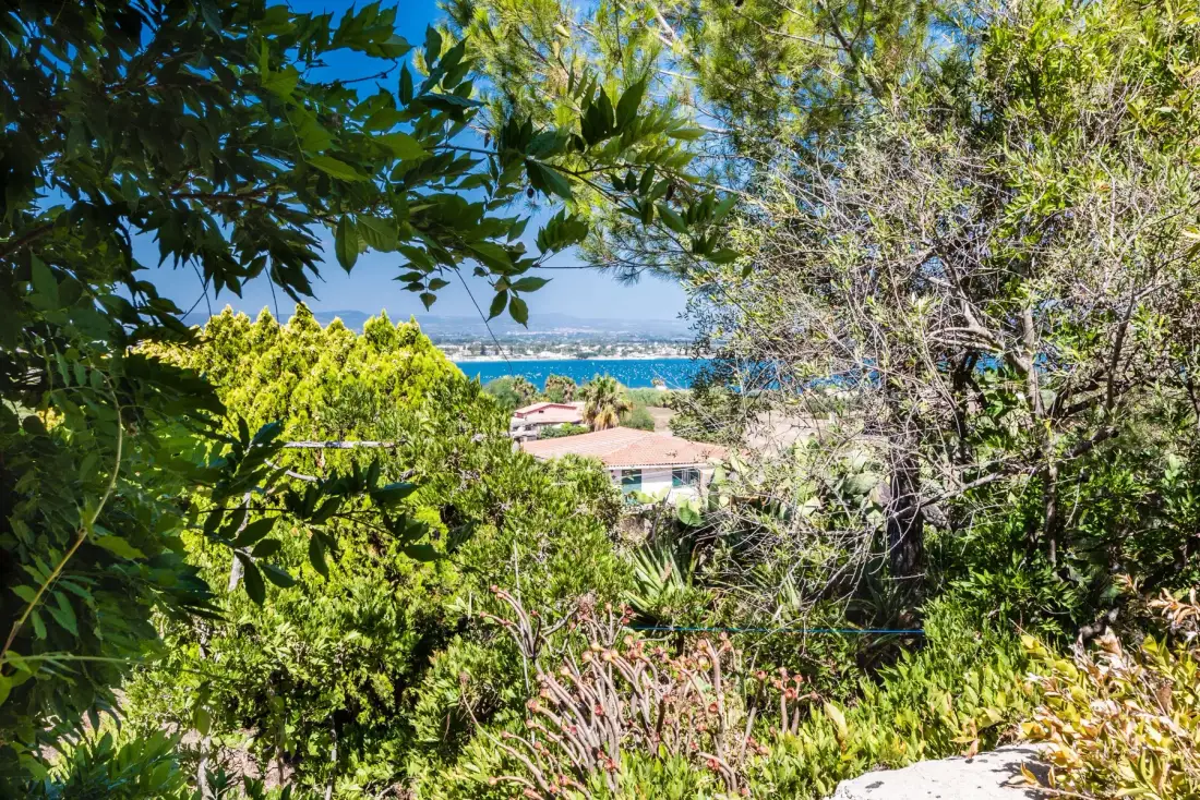 A coastal view of blue water framed by dense trees and greenery.