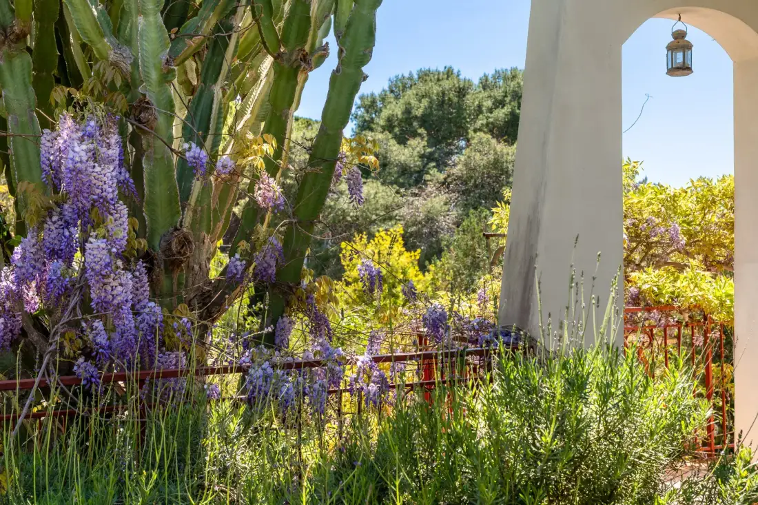 A garden path framed by flowering plants and a pale stone arch.