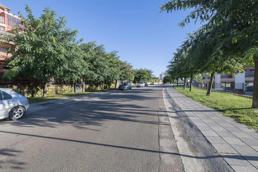 A tree-lined street with parked cars and a paved sidewalk.
