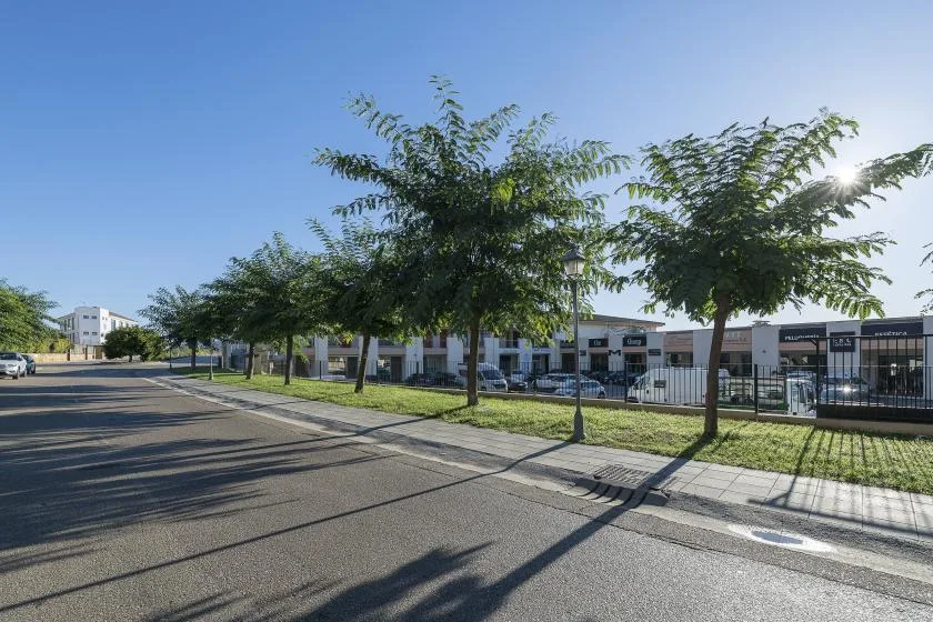 A tree-lined street runs beside a row of low commercial buildings.