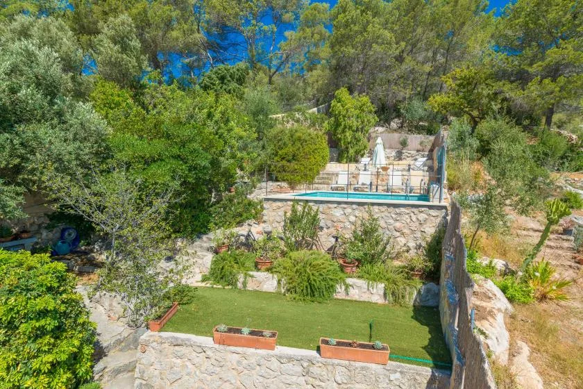 A landscaped outdoor garden with a small rectangular swimming pool and surrounding trees.