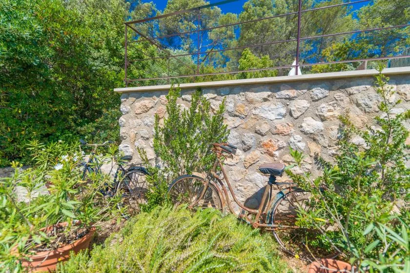 A bicycle leans against a stone wall amid lush garden greenery.