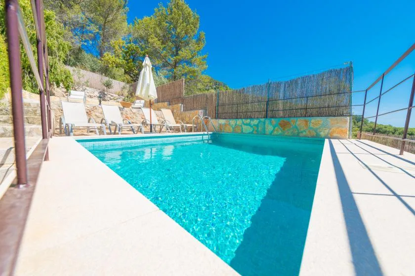 An outdoor swimming pool sits beside a sunlit deck with loungers and an umbrella.
