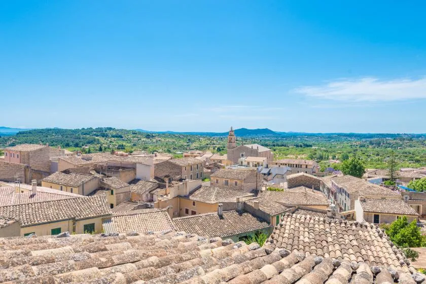 Aerial view of a village with tiled rooftops and green countryside beyond.