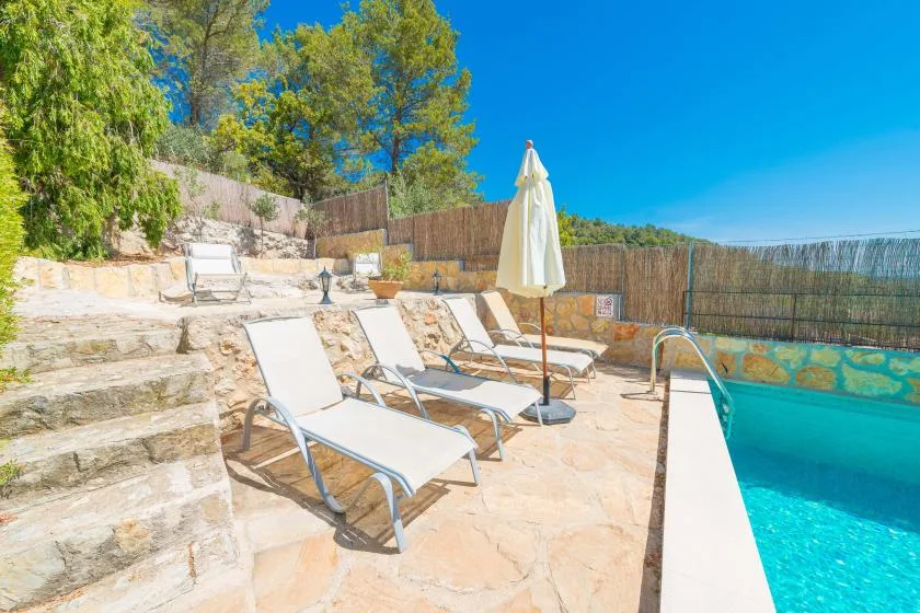 A sunlit pool terrace with lounge seating beside a swimming pool.