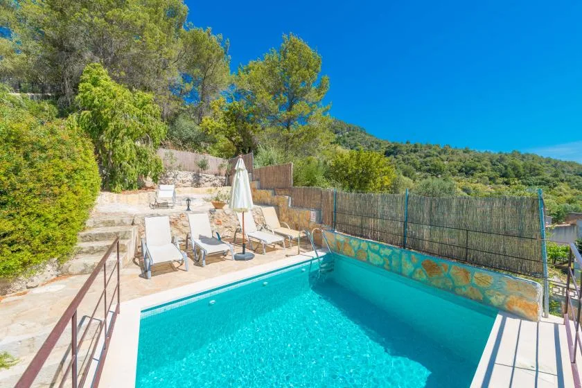 An outdoor swimming pool beside a sunlit terrace with seating and greenery.