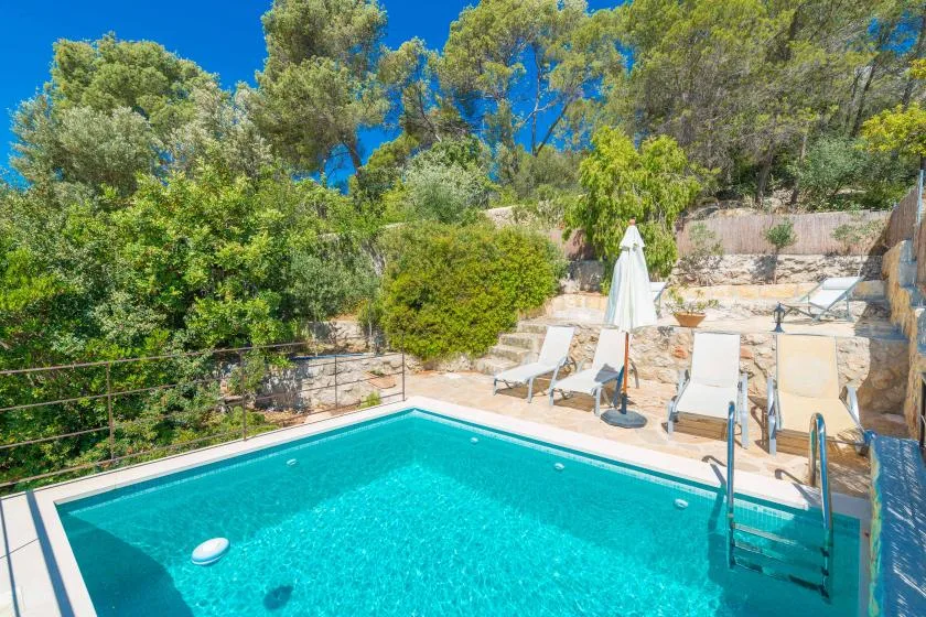 An outdoor swimming pool is surrounded by lounge seating and trees.