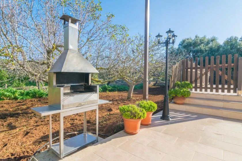 A paved outdoor patio features a metal barbecue grill and potted plants.