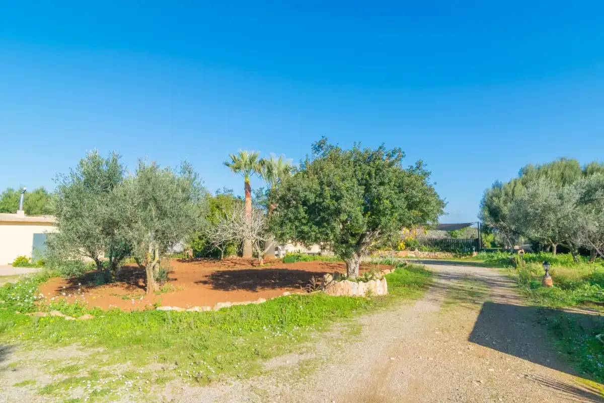 A landscaped garden with trees borders a broad dirt path beneath a clear blue sky.