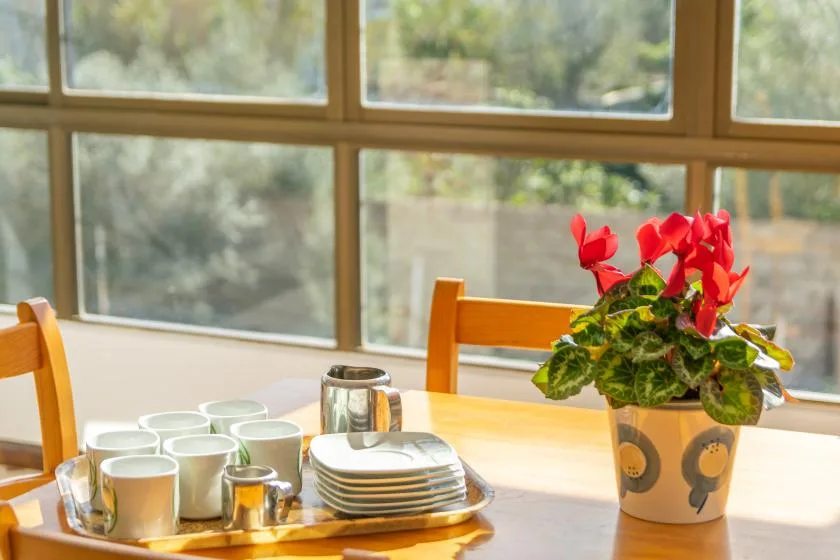 A sunlit dining table with stacked plates, cups, and a flowering plant by the windows.