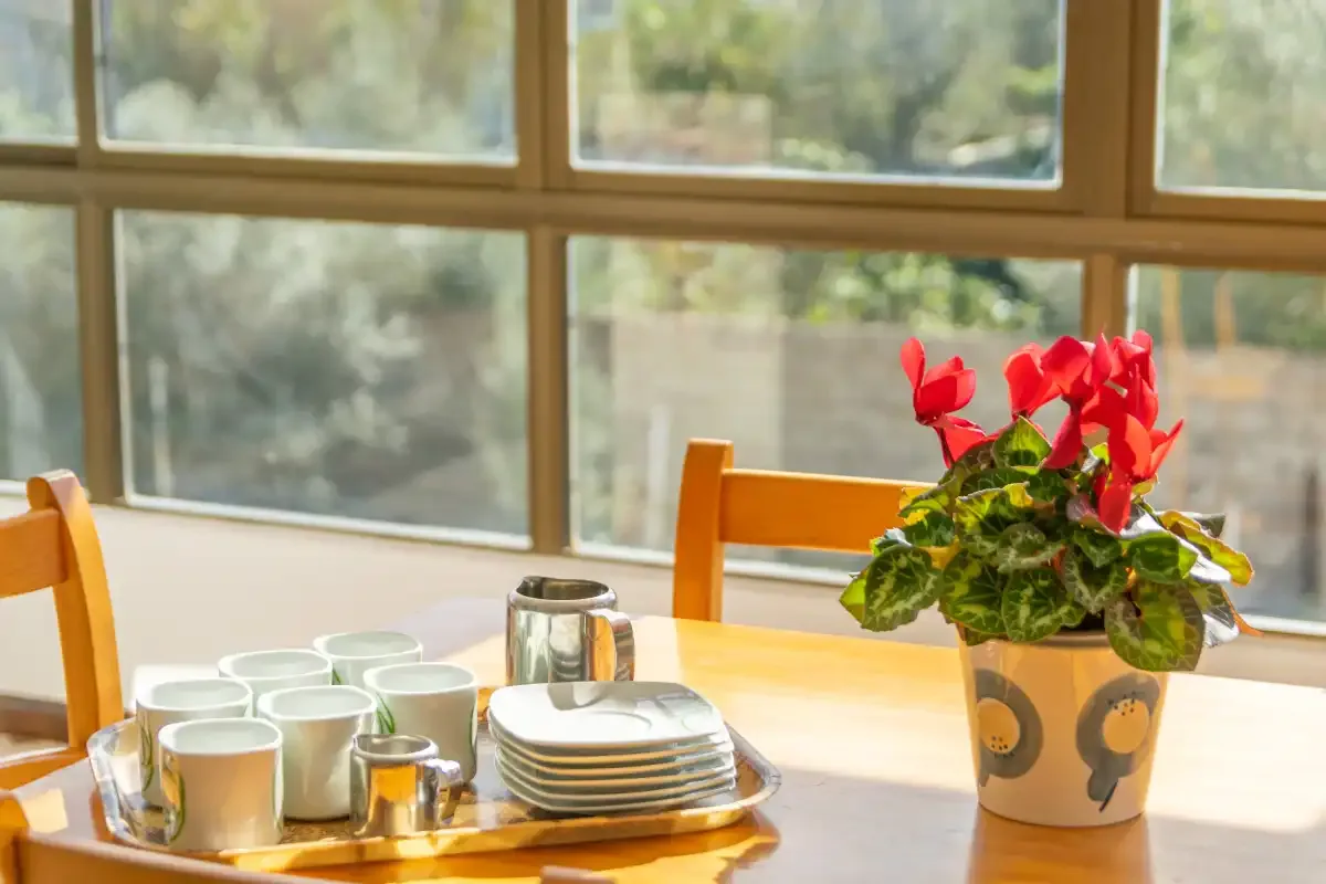 A sunlit dining area with cups and plates arranged on the table.