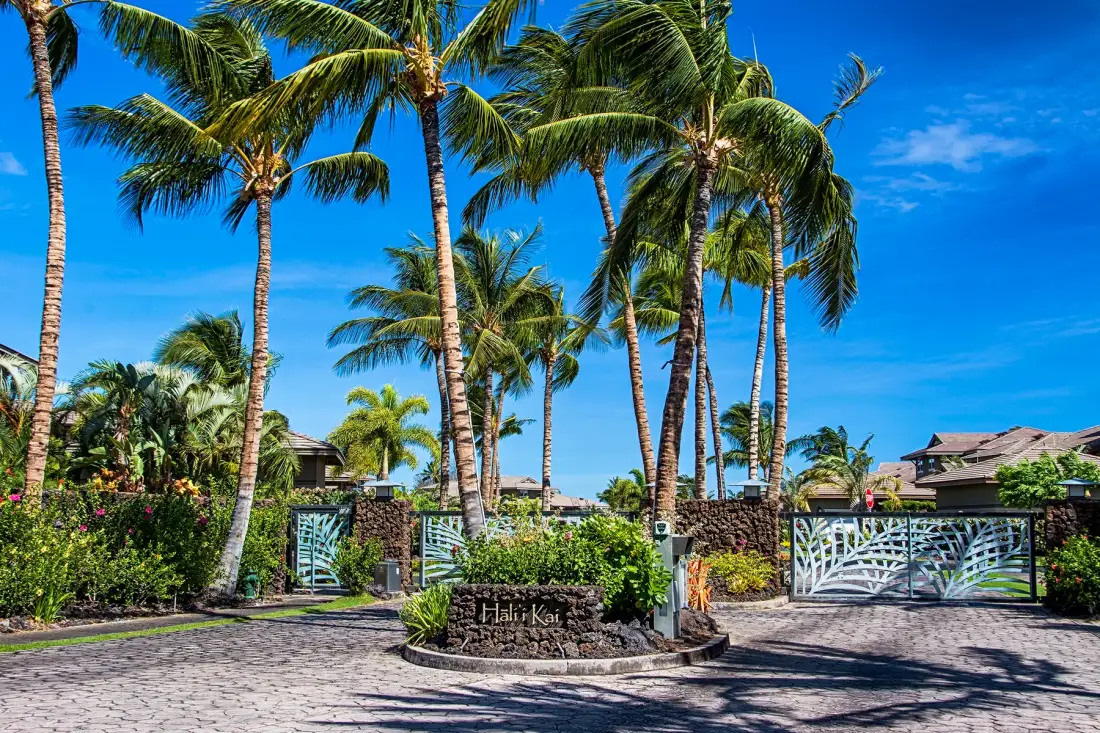Entrada de una propiedad tropical con palmeras, arbustos floridos y portones decorativos.