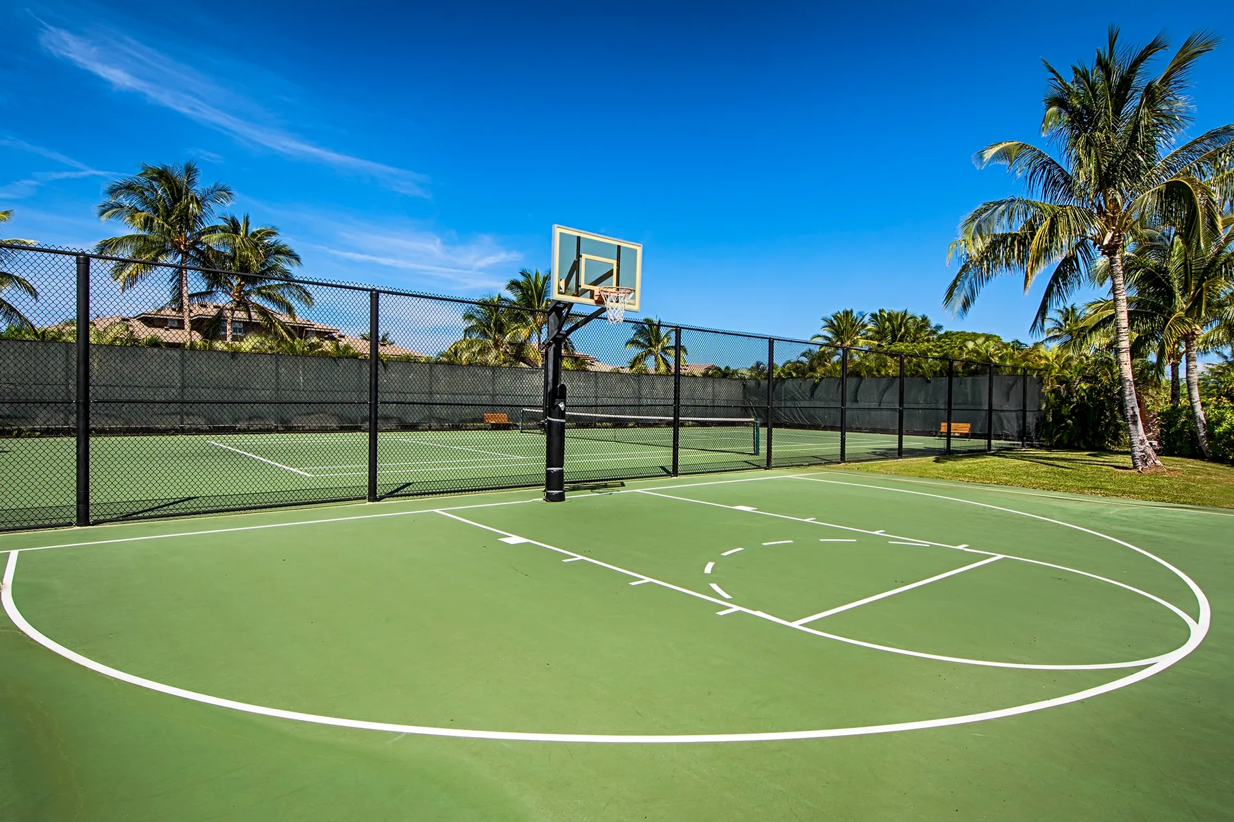 Una cancha de baloncesto al aire libre está junto a una cancha de tenis cercada, con palmeras cerca.