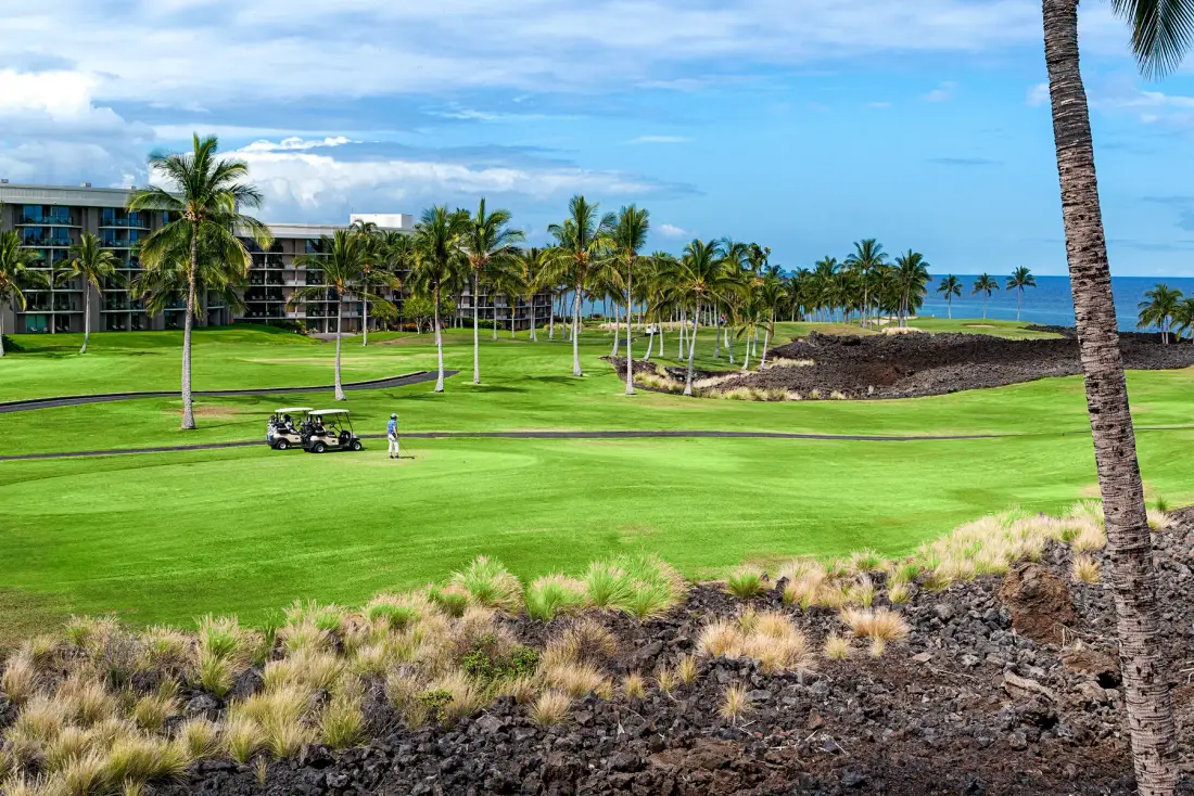 Un campo de golf ajardinado con palmeras y el océano a lo lejos.