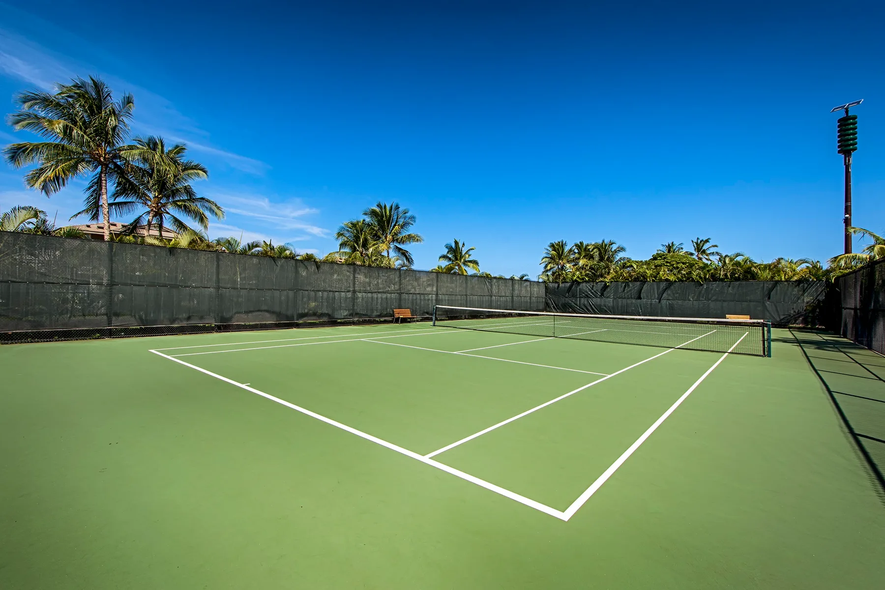 Una cancha de tenis al aire libre con palmeras más allá de la cerca.