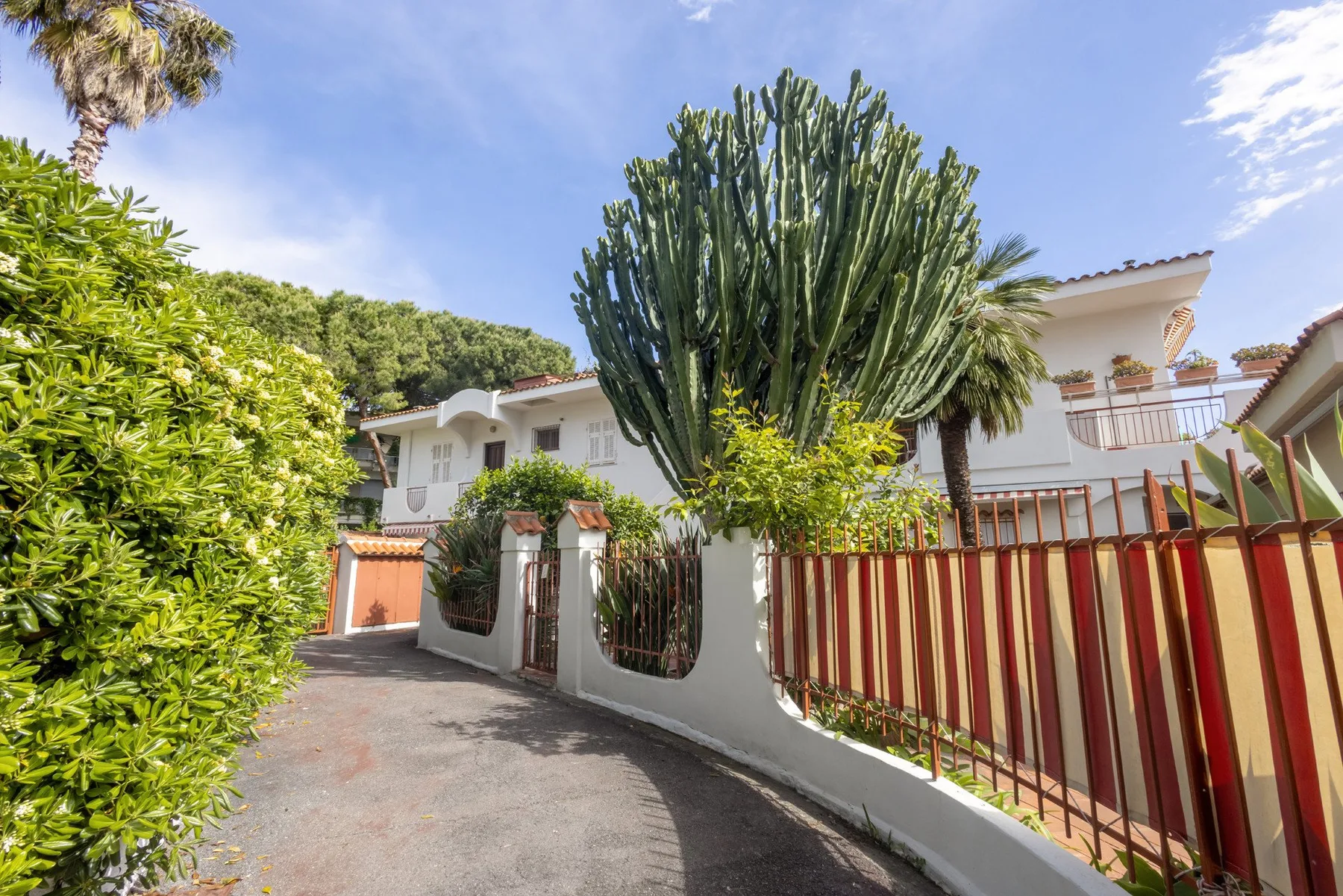 A white house stands behind a curved driveway and a tall cactus.