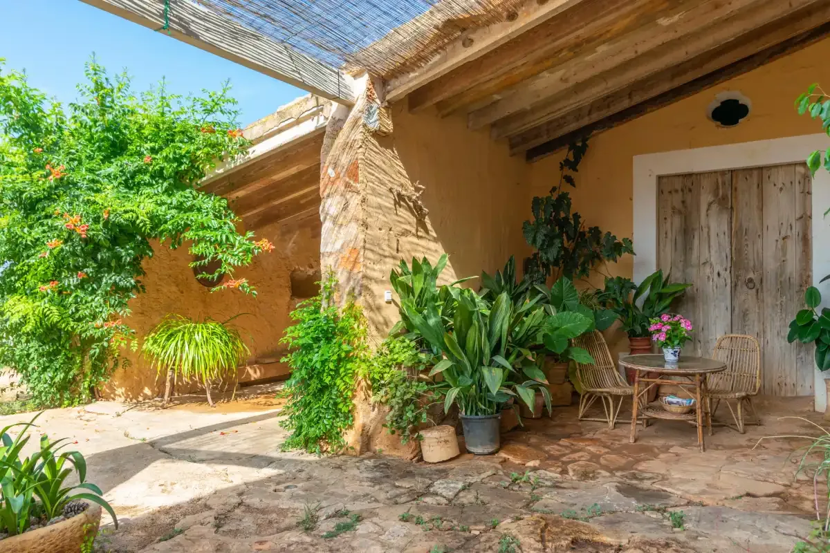 A rustic courtyard patio has leafy plants beside a wooden door and seating.