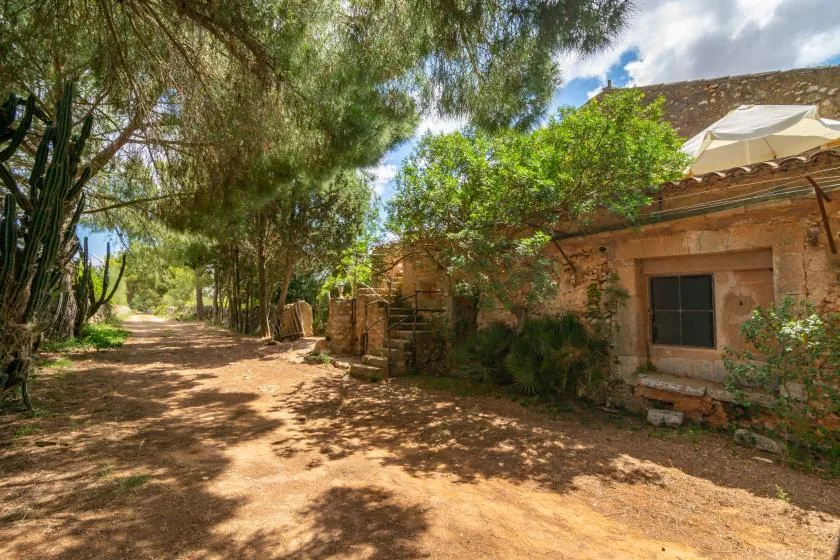 A shaded dirt path runs beside a rustic stone building and leafy trees.