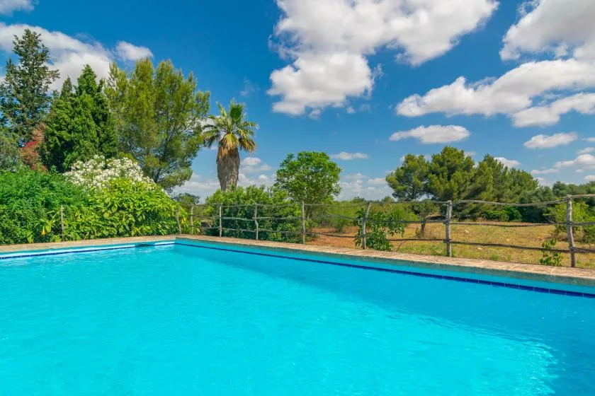 An outdoor swimming pool bordered by greenery beneath a partly cloudy sky.