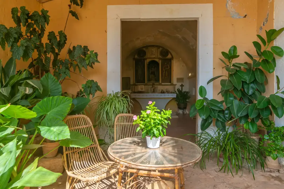 A plant-filled patio with a round table and woven seating faces an open doorway.