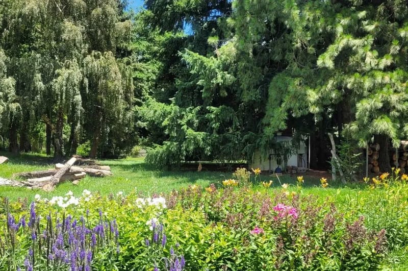 Cozy 2BR w/ Forest Views in Valle del Sol
