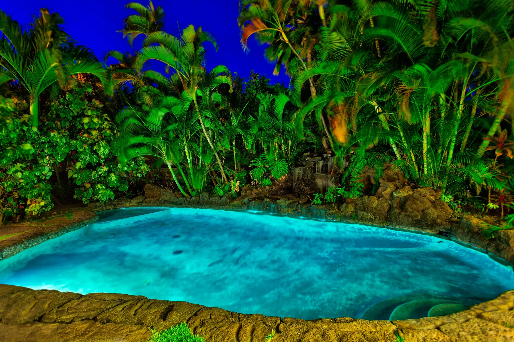 A swimming pool is surrounded by tropical plants and palm trees.
